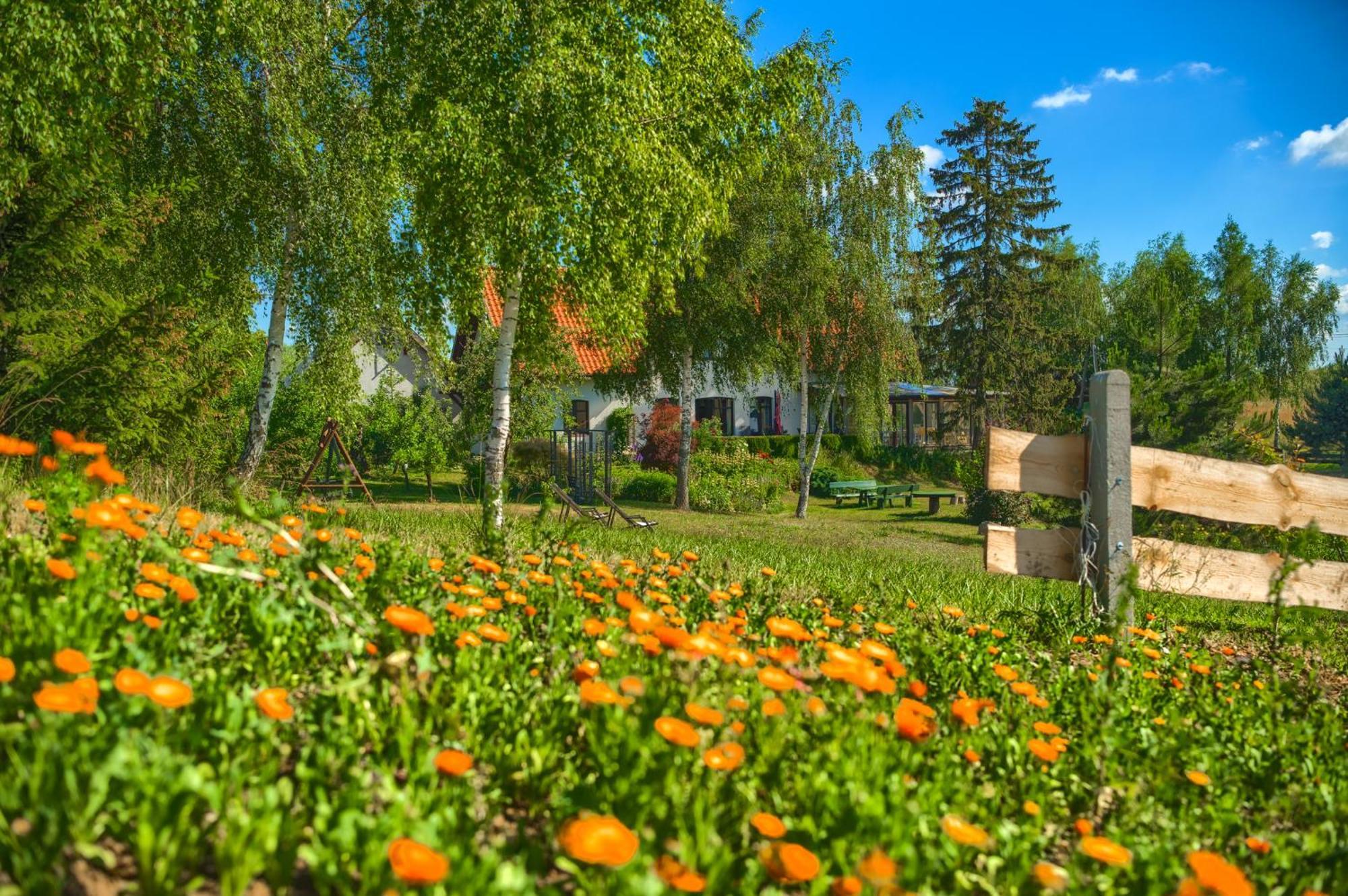 Jora Siedlisko Guest House Jora Wielka Exterior foto